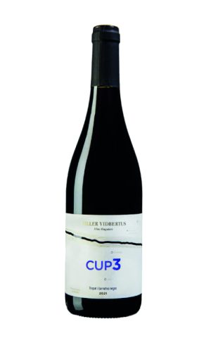 Vidbertus Cup 3 2023