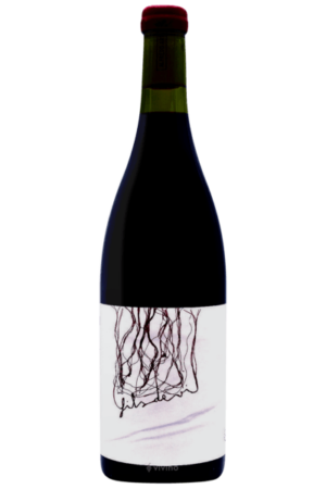 Thunder Wine Makers Fils De Vi 2022