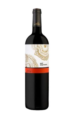 Petit Saó Expresiu  2021