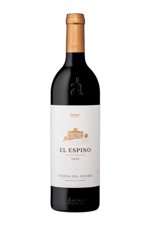 Áster Aster El Espino 2020