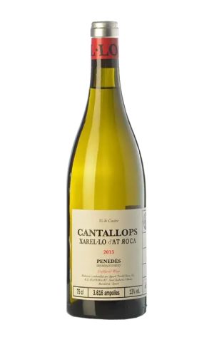 Anima Mundi Cantallops 2023