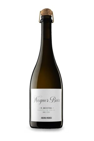 Anima Mundi El Noguer Baix 2021