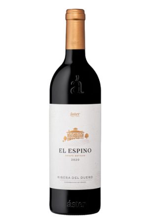 aster-aster-el-espino