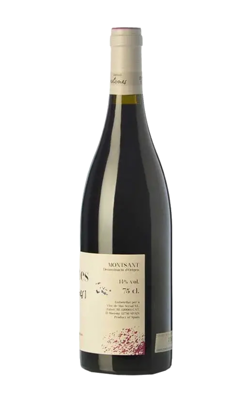 Petites Estones Negre 2024 - Imatge 2